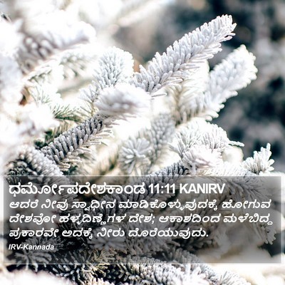 ಧರ್ಮೋಪದೇಶಕಾಂಡ 11:11 KANIRV Bible Verse Image