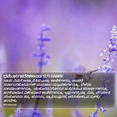 ಧರ್ಮೋಪದೇಶಕಾಂಡ 12:11 KANIRV Bible Verse Image