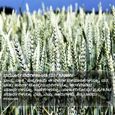 ಧರ್ಮೋಪದೇಶಕಾಂಡ 12:17 KANIRV Bible Verse Image