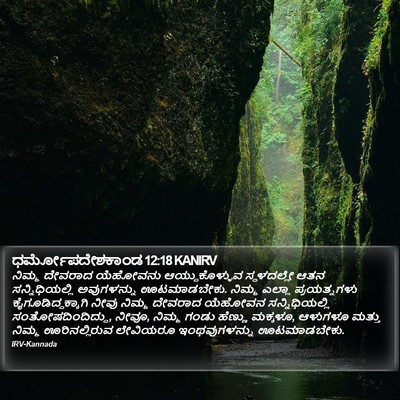 ಧರ್ಮೋಪದೇಶಕಾಂಡ 12:18 KANIRV Bible Verse Image