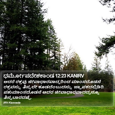 ಧರ್ಮೋಪದೇಶಕಾಂಡ 12:23 KANIRV Bible Verse Image