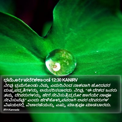 ಧರ್ಮೋಪದೇಶಕಾಂಡ 12:30 KANIRV Bible Verse Image