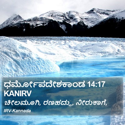 ಧರ್ಮೋಪದೇಶಕಾಂಡ 14:17 KANIRV Bible Verse Image