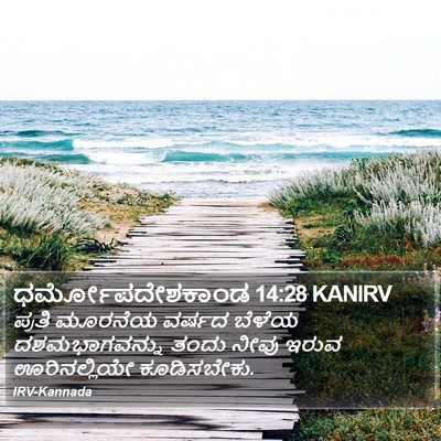 ಧರ್ಮೋಪದೇಶಕಾಂಡ 14:28 KANIRV Bible Verse Image