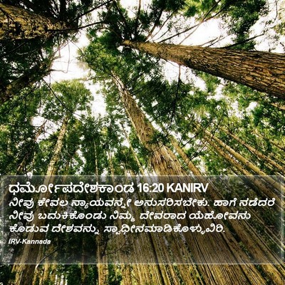 ಧರ್ಮೋಪದೇಶಕಾಂಡ 16:20 KANIRV Bible Verse Image
