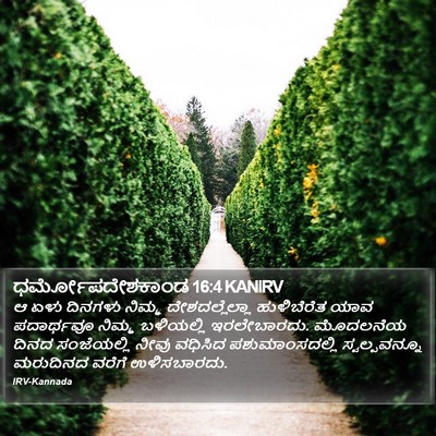 ಧರ್ಮೋಪದೇಶಕಾಂಡ 16:4 KANIRV Bible Verse Image