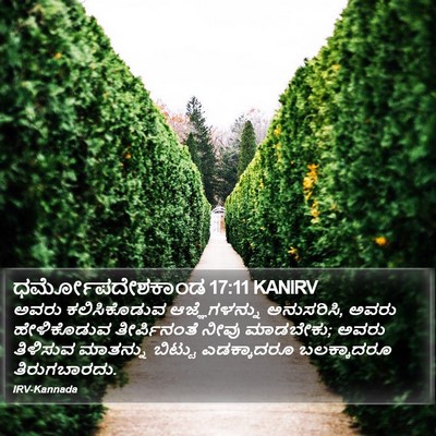 ಧರ್ಮೋಪದೇಶಕಾಂಡ 17:11 KANIRV Bible Verse Image