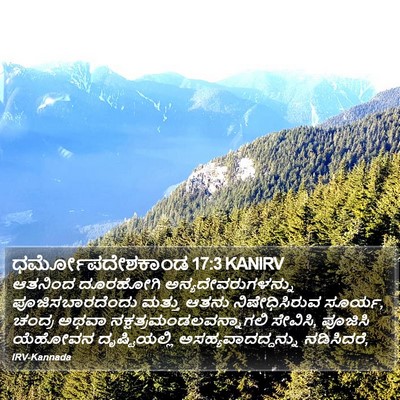 ಧರ್ಮೋಪದೇಶಕಾಂಡ 17:3 KANIRV Bible Verse Image