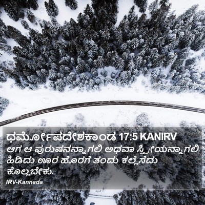 ಧರ್ಮೋಪದೇಶಕಾಂಡ 17:5 KANIRV Bible Verse Image