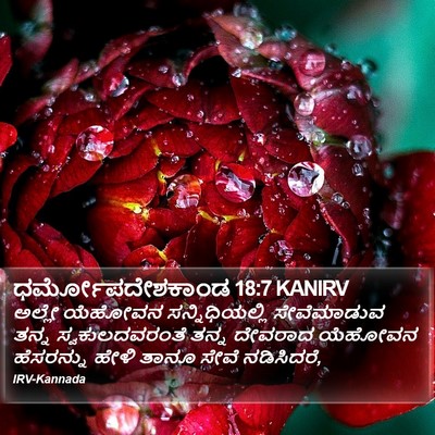 ಧರ್ಮೋಪದೇಶಕಾಂಡ 18:7 KANIRV Bible Verse Image