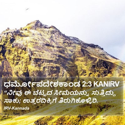 ಧರ್ಮೋಪದೇಶಕಾಂಡ 2:3 KANIRV Bible Verse Image