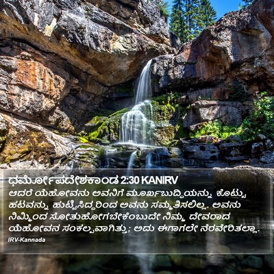 ಧರ್ಮೋಪದೇಶಕಾಂಡ 2:30 KANIRV Bible Verse Image
