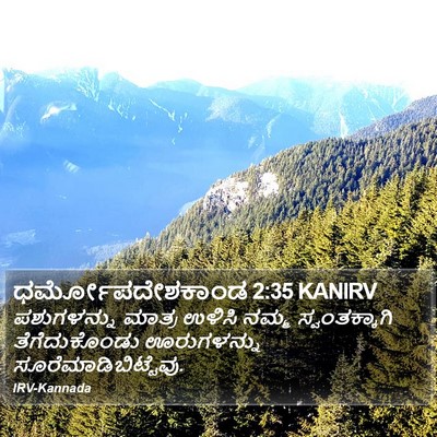 ಧರ್ಮೋಪದೇಶಕಾಂಡ 2:35 KANIRV Bible Verse Image