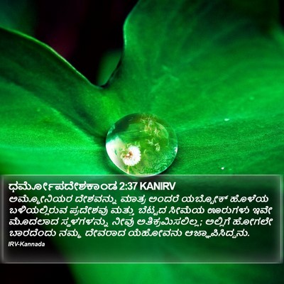 ಧರ್ಮೋಪದೇಶಕಾಂಡ 2:37 KANIRV Bible Verse Image