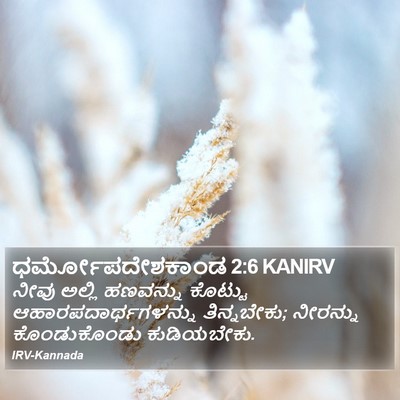 ಧರ್ಮೋಪದೇಶಕಾಂಡ 2:6 KANIRV Bible Verse Image