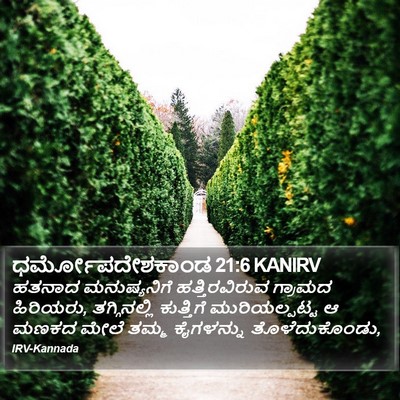 ಧರ್ಮೋಪದೇಶಕಾಂಡ 21:6 KANIRV Bible Verse Image