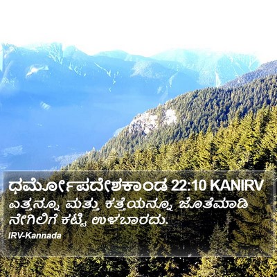 ಧರ್ಮೋಪದೇಶಕಾಂಡ 22:10 KANIRV Bible Verse Image
