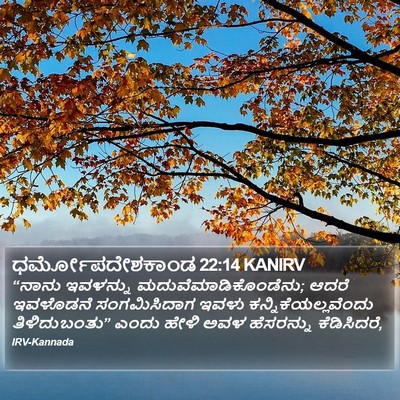 ಧರ್ಮೋಪದೇಶಕಾಂಡ 22:14 KANIRV Bible Verse Image