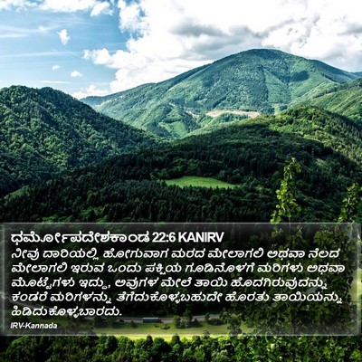 ಧರ್ಮೋಪದೇಶಕಾಂಡ 22:6 KANIRV Bible Verse Image