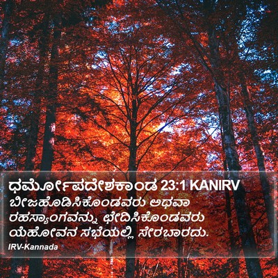 ಧರ್ಮೋಪದೇಶಕಾಂಡ 23:1 KANIRV Bible Verse Image