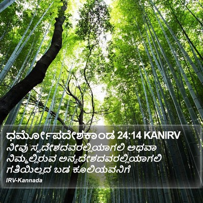 ಧರ್ಮೋಪದೇಶಕಾಂಡ 24:14 KANIRV Bible Verse Image