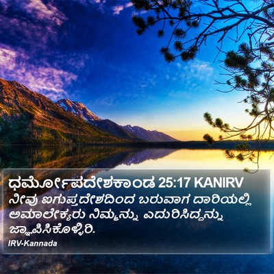 ಧರ್ಮೋಪದೇಶಕಾಂಡ 25:17 KANIRV Bible Verse Image