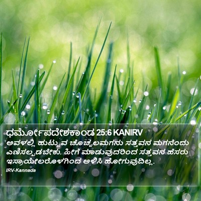 ಧರ್ಮೋಪದೇಶಕಾಂಡ 25:6 KANIRV Bible Verse Image