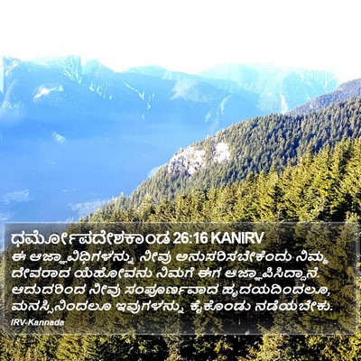 ಧರ್ಮೋಪದೇಶಕಾಂಡ 26:16 KANIRV Bible Verse Image