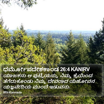 ಧರ್ಮೋಪದೇಶಕಾಂಡ 26:4 KANIRV Bible Verse Image