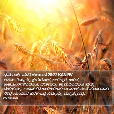 ಧರ್ಮೋಪದೇಶಕಾಂಡ 28:22 KANIRV Bible Verse Image