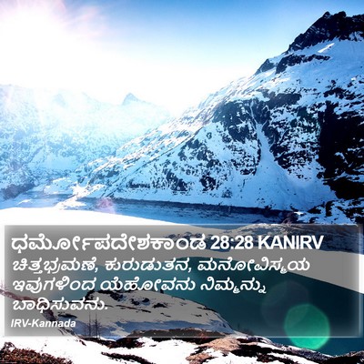 ಧರ್ಮೋಪದೇಶಕಾಂಡ 28:28 KANIRV Bible Verse Image