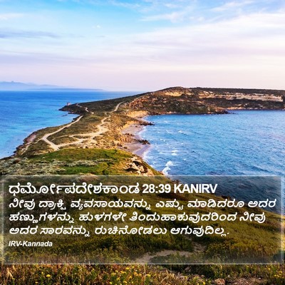 ಧರ್ಮೋಪದೇಶಕಾಂಡ 28:39 KANIRV Bible Verse Image