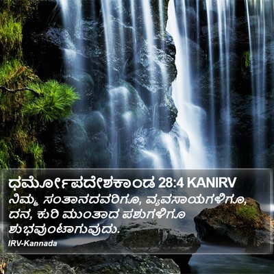 ಧರ್ಮೋಪದೇಶಕಾಂಡ 28:4 KANIRV Bible Verse Image