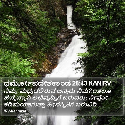 ಧರ್ಮೋಪದೇಶಕಾಂಡ 28:43 KANIRV Bible Verse Image