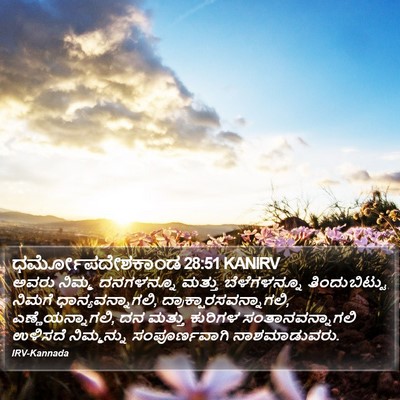 ಧರ್ಮೋಪದೇಶಕಾಂಡ 28:51 KANIRV Bible Verse Image