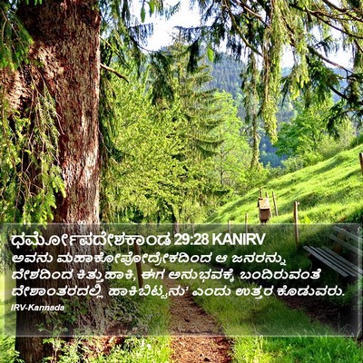 ಧರ್ಮೋಪದೇಶಕಾಂಡ 29:28 KANIRV Bible Verse Image