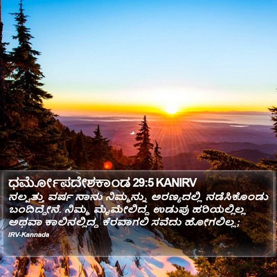 ಧರ್ಮೋಪದೇಶಕಾಂಡ 29:5 KANIRV Bible Verse Image