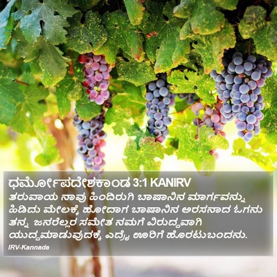 ಧರ್ಮೋಪದೇಶಕಾಂಡ 3:1 KANIRV Bible Verse Image