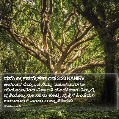 ಧರ್ಮೋಪದೇಶಕಾಂಡ 3:20 KANIRV Bible Verse Image