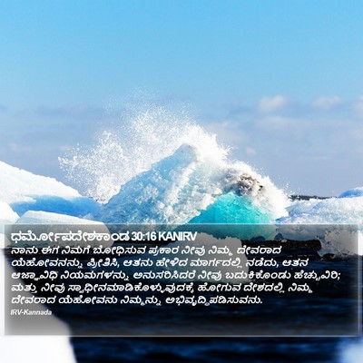 ಧರ್ಮೋಪದೇಶಕಾಂಡ 30:16 KANIRV Bible Verse Image