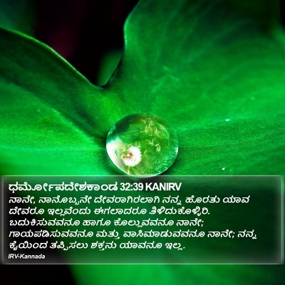 ಧರ್ಮೋಪದೇಶಕಾಂಡ 32:39 KANIRV Bible Verse Image