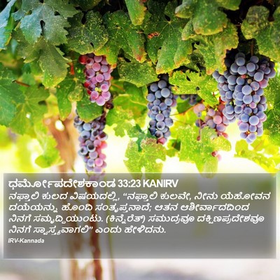 ಧರ್ಮೋಪದೇಶಕಾಂಡ 33:23 KANIRV Bible Verse Image