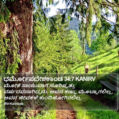 ಧರ್ಮೋಪದೇಶಕಾಂಡ 34:7 KANIRV Bible Verse Image