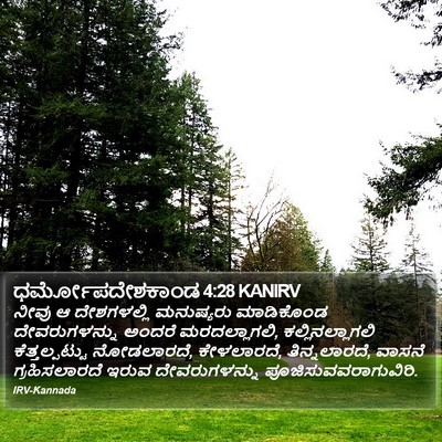 ಧರ್ಮೋಪದೇಶಕಾಂಡ 4:28 KANIRV Bible Verse Image