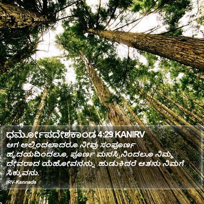 ಧರ್ಮೋಪದೇಶಕಾಂಡ 4:29 KANIRV Bible Verse Image
