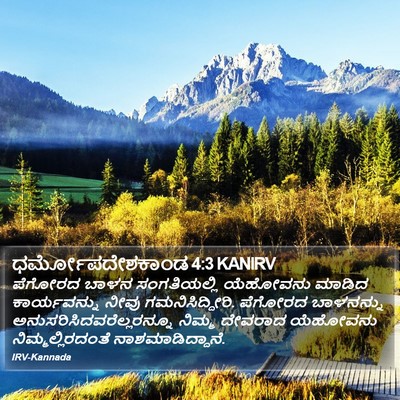 ಧರ್ಮೋಪದೇಶಕಾಂಡ 4:3 KANIRV Bible Verse Image