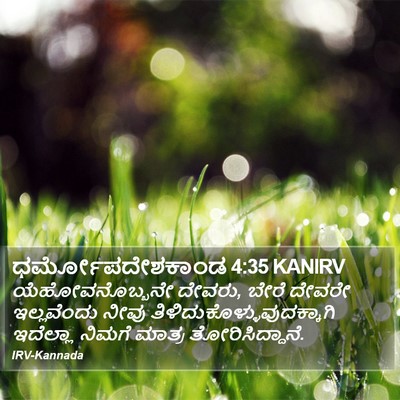 ಧರ್ಮೋಪದೇಶಕಾಂಡ 4:35 KANIRV Bible Verse Image