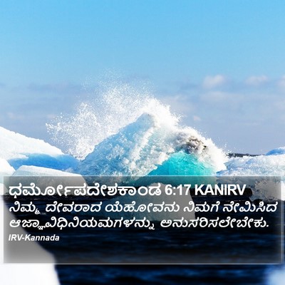 ಧರ್ಮೋಪದೇಶಕಾಂಡ 6:17 KANIRV Bible Verse Image