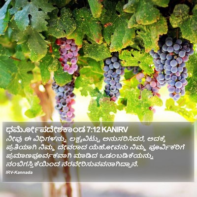 ಧರ್ಮೋಪದೇಶಕಾಂಡ 7:12 KANIRV Bible Verse Image