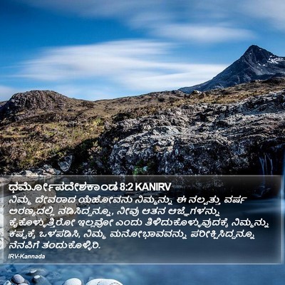 ಧರ್ಮೋಪದೇಶಕಾಂಡ 8:2 KANIRV Bible Verse Image